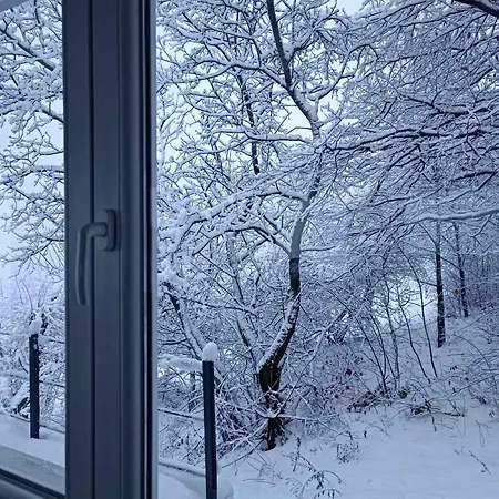 Tatil Evi Csudahely - Wonderplace Dunabogdány